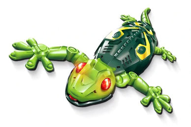 Unleash Joy and Wonder in Every Adventure!