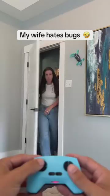 Wall Crawling Gecko™ video