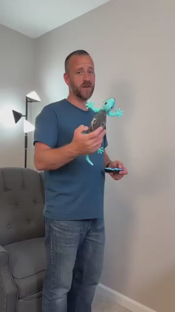 Wall Crawling Gecko™ video